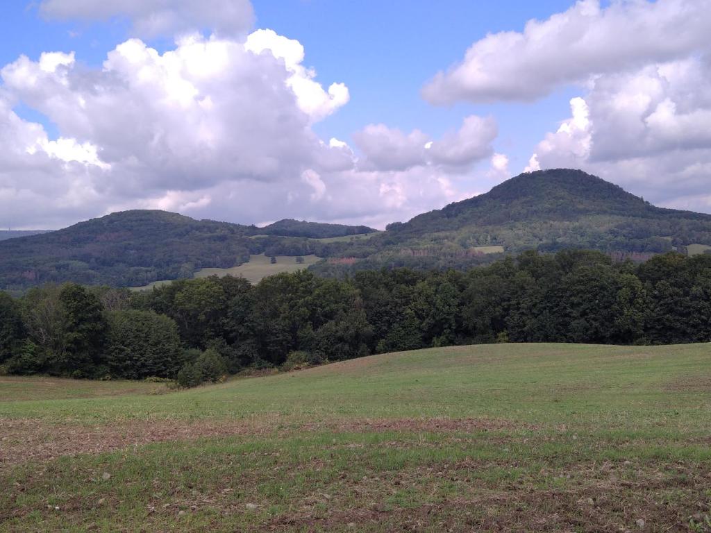 apartman.lara room 3