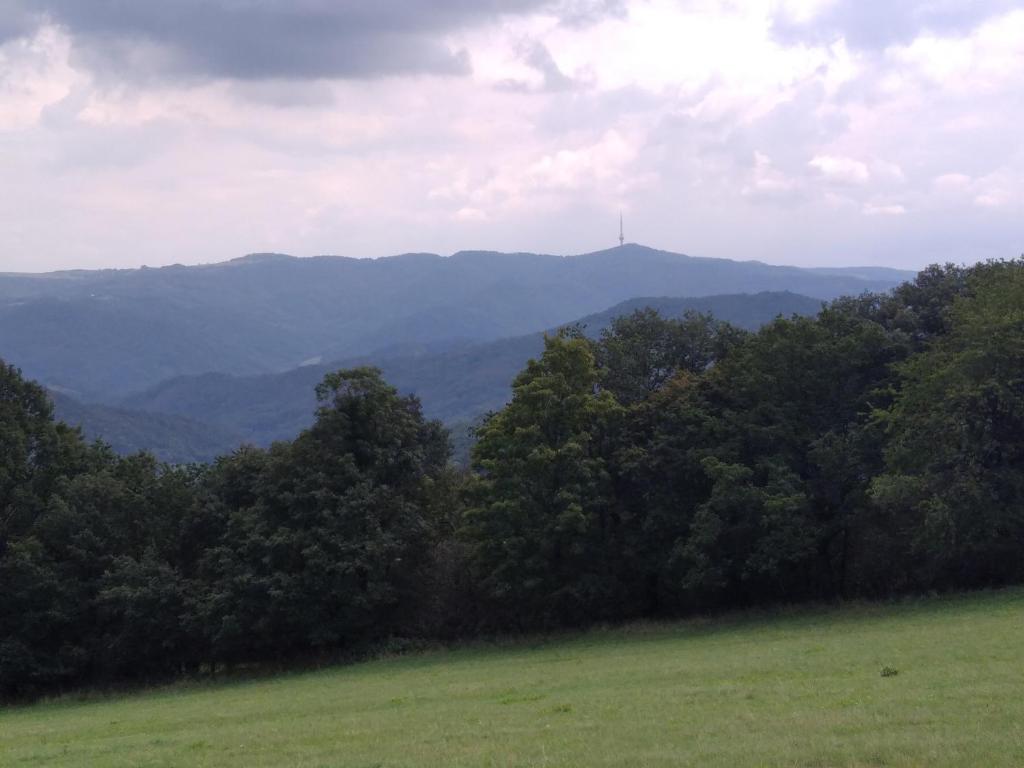 apartman.lara room 4